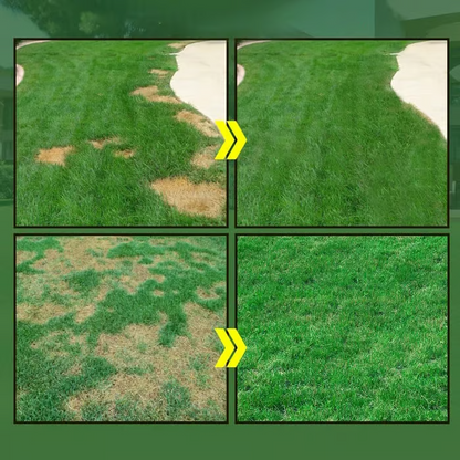 Easy Spray-On Grass Seed & Fertilizer Solution - Instantly Restore Thicker, Greener Lawns in Days (Includes Sprayer & Formula